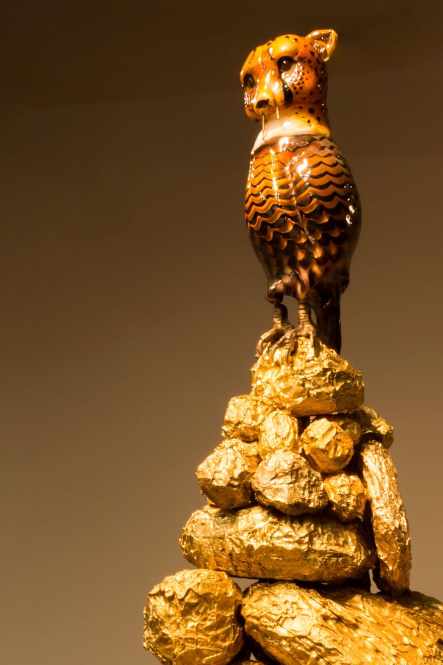 Charlyn Reynolds, Cheetah Falcon