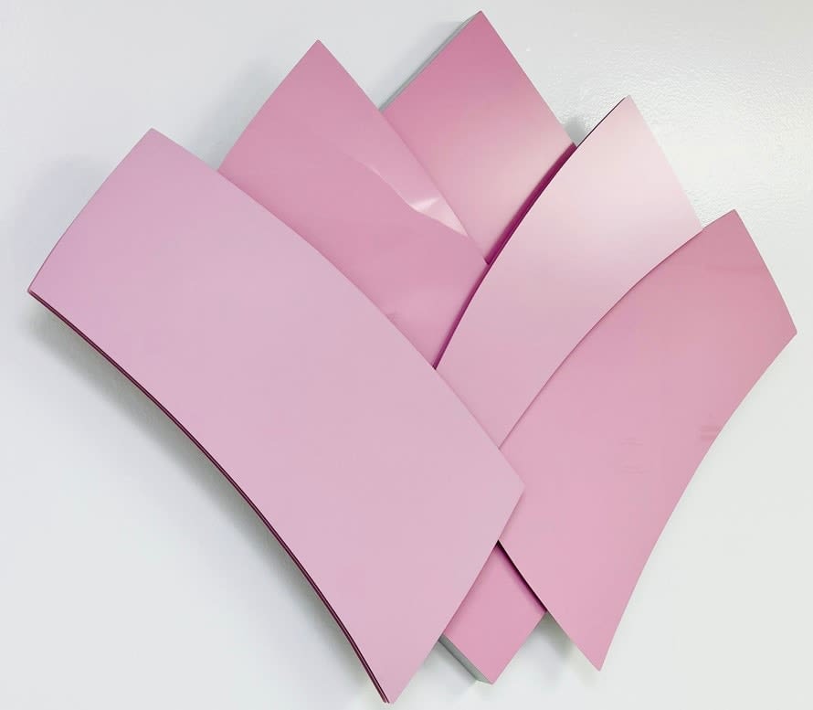 Delsy Rubio, PINK ROSE