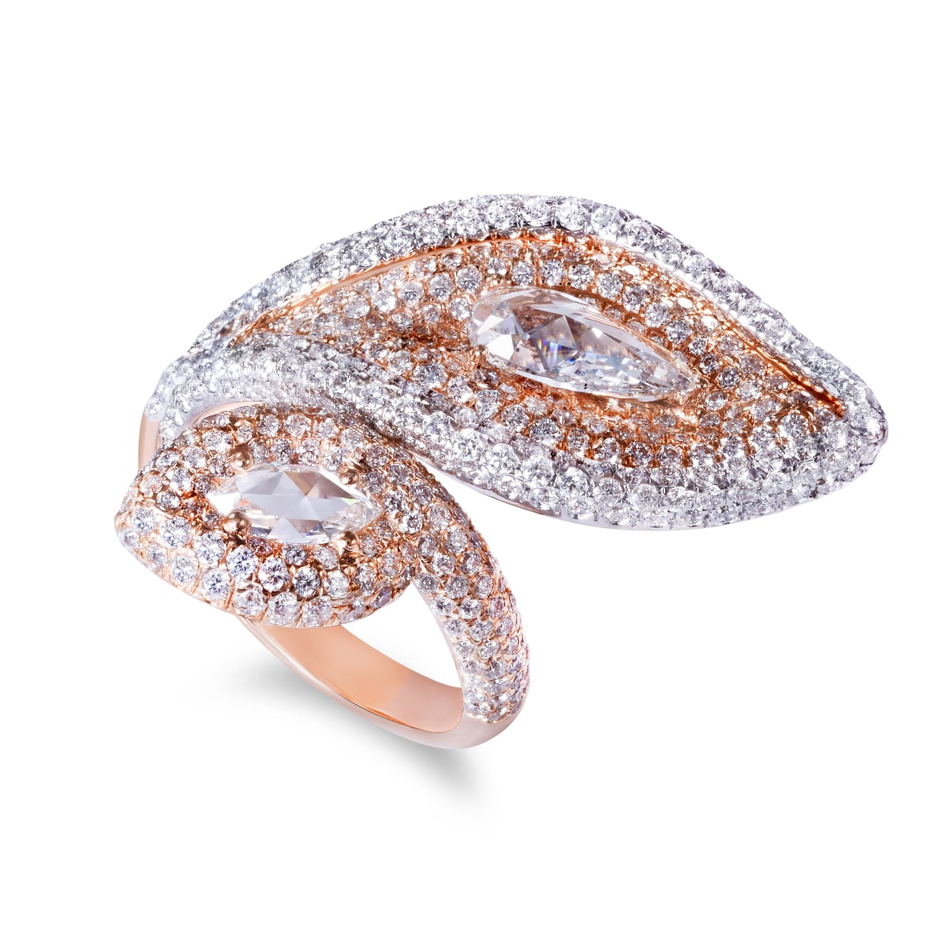Rarever, FERN