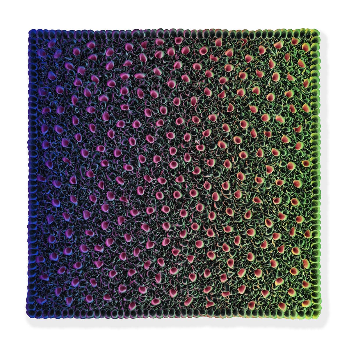 Zhuang Hong Yi, Coral Reef