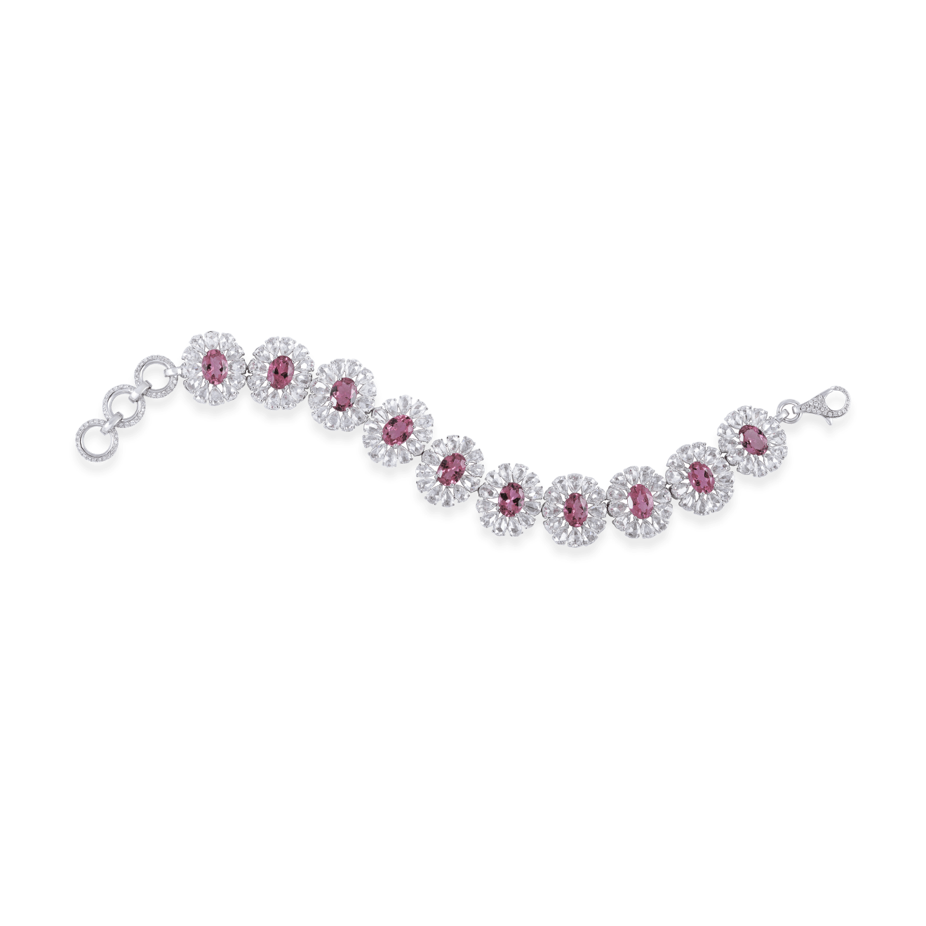 Rarever, FUSCHIA