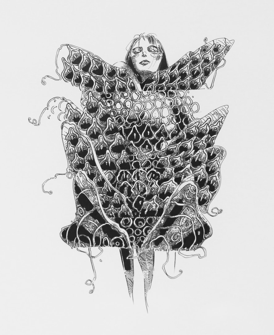 Chloe Marsters, Lottia, 2021