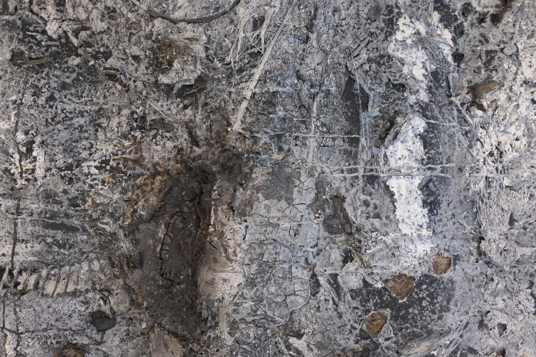 James Robinson, Zero point , 2004