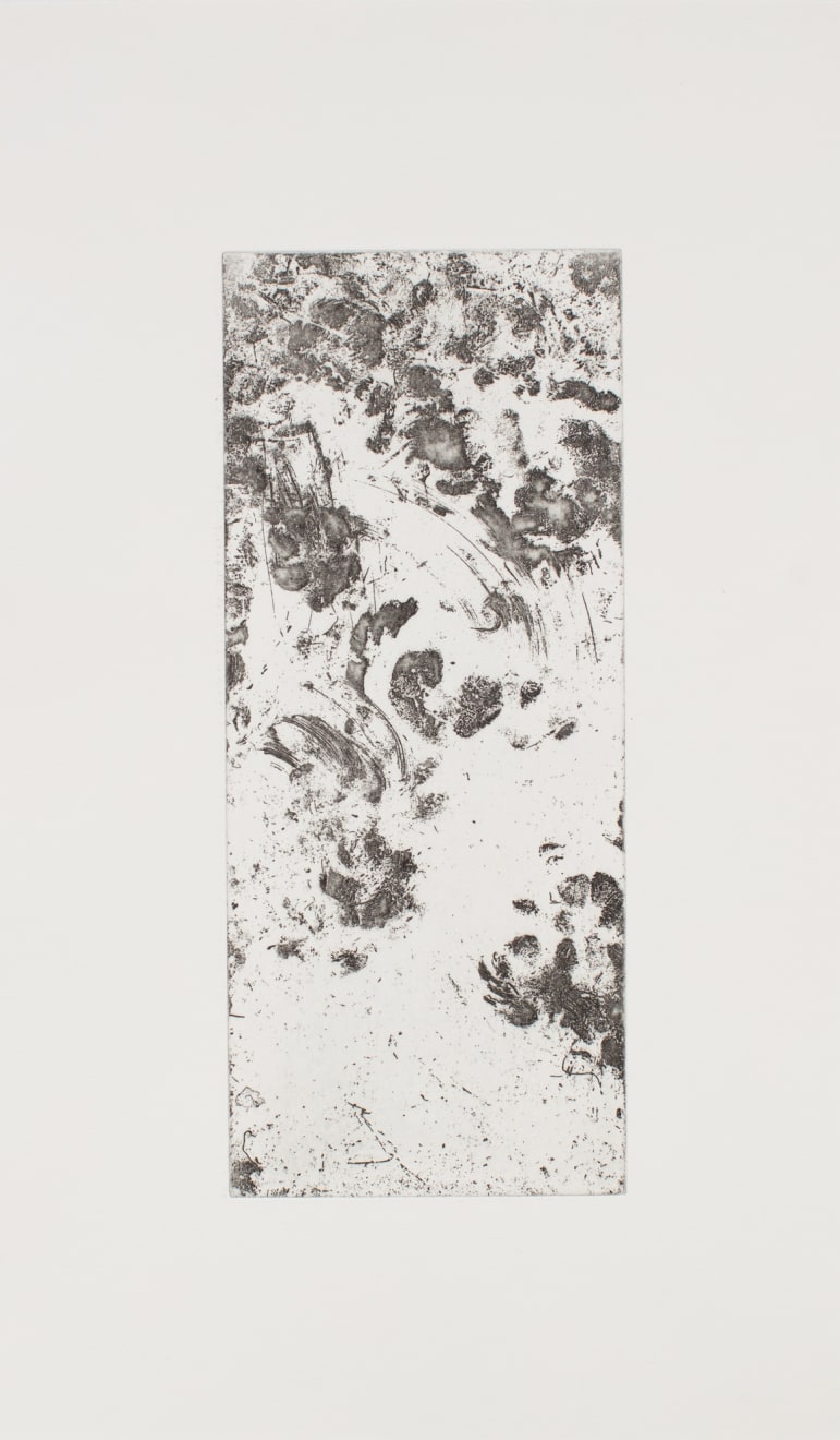 Kate Newby, It Was Worth It, 2022