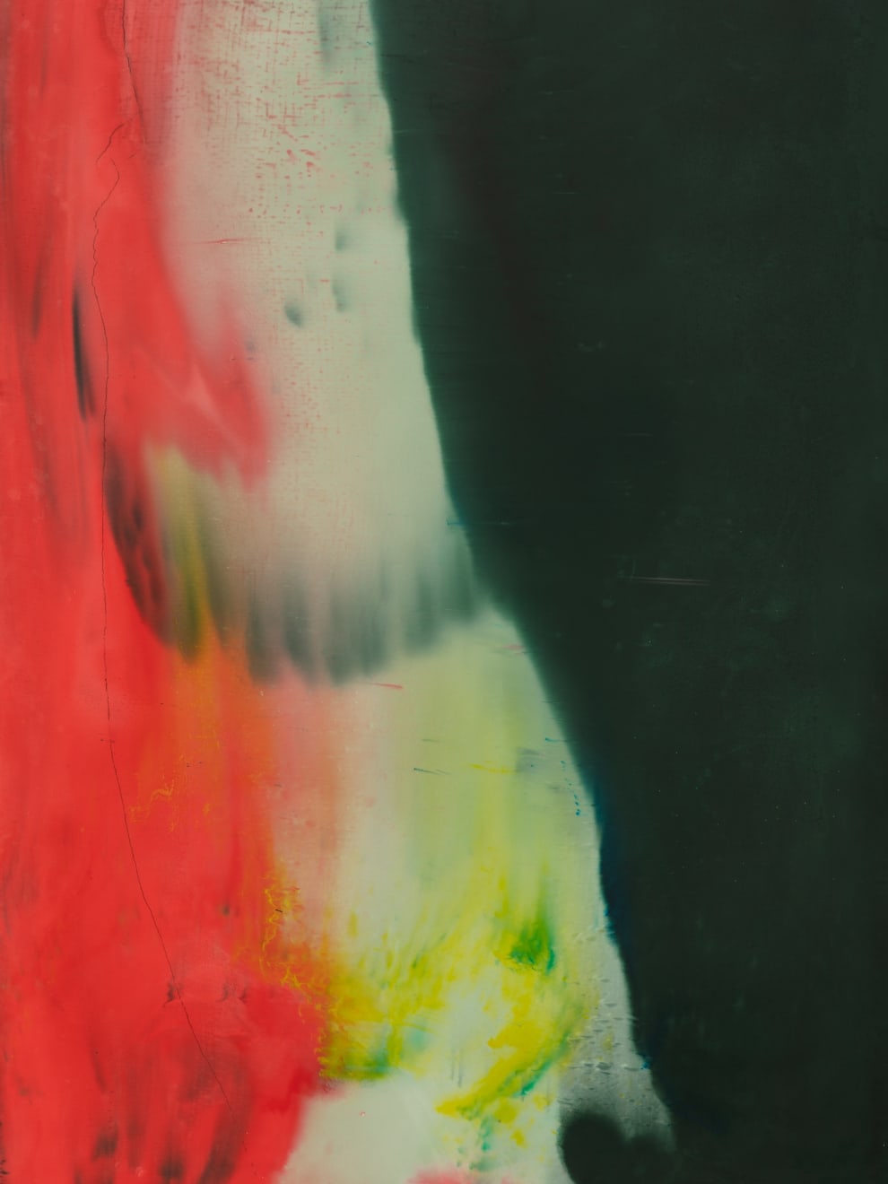 Harminder Judge, Untitled (opening cage and ribs displayed), 2022