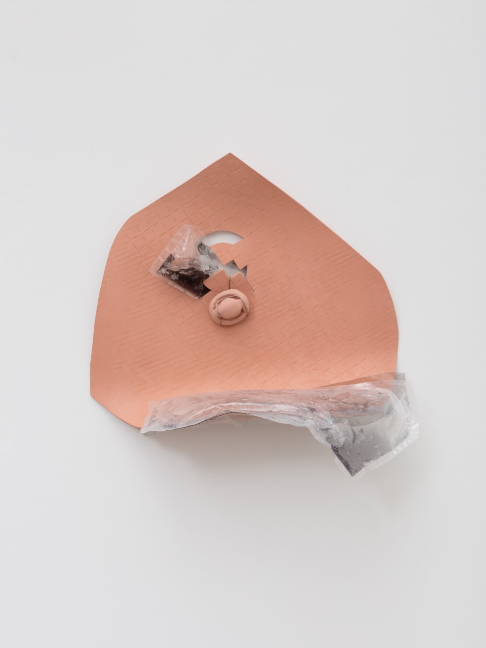 Alisa Baremboym, Mutable System, 2016