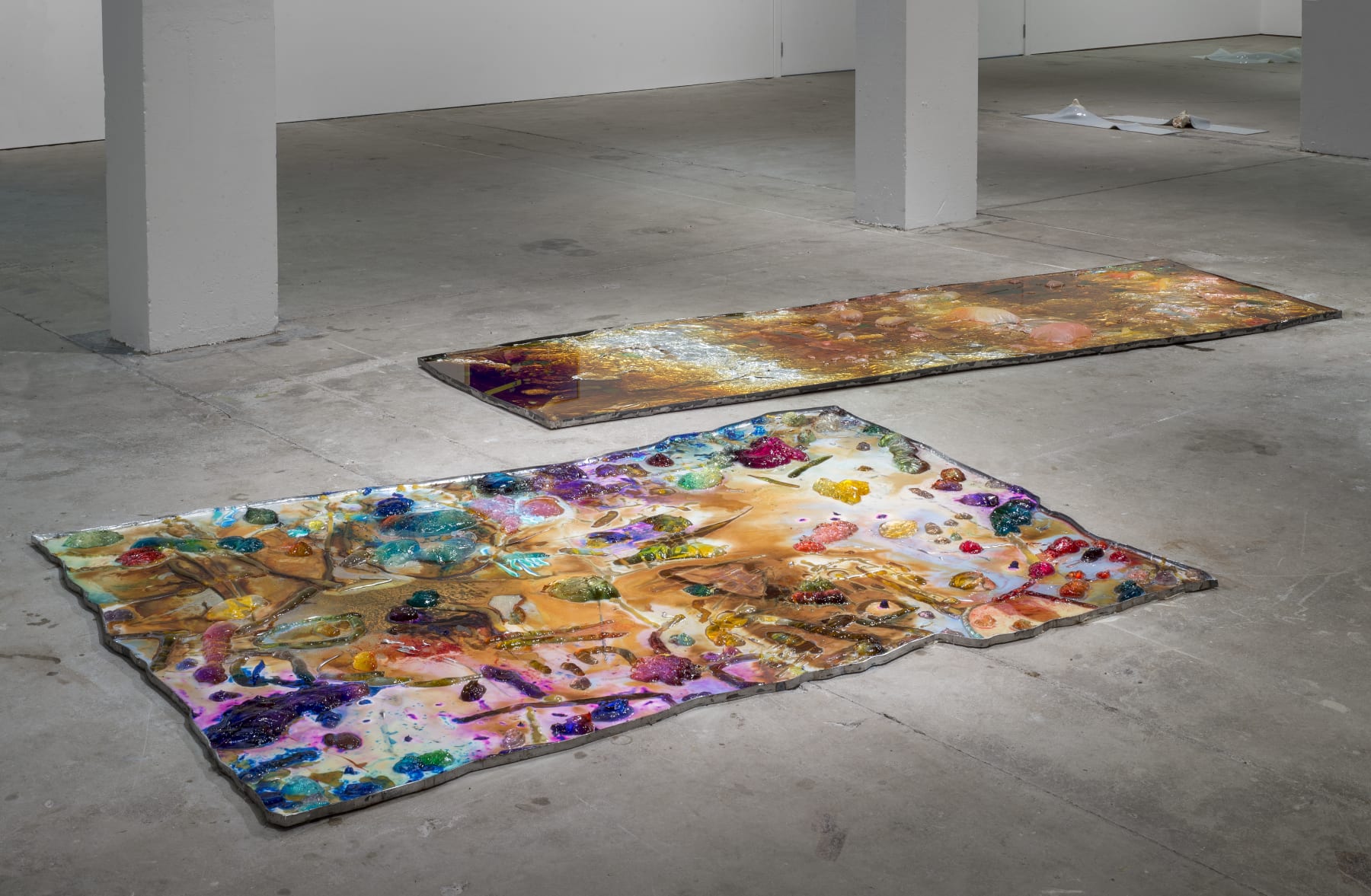 Samara Scott, The transparent tortoiseshell and the un-ripe umbrella, 2016