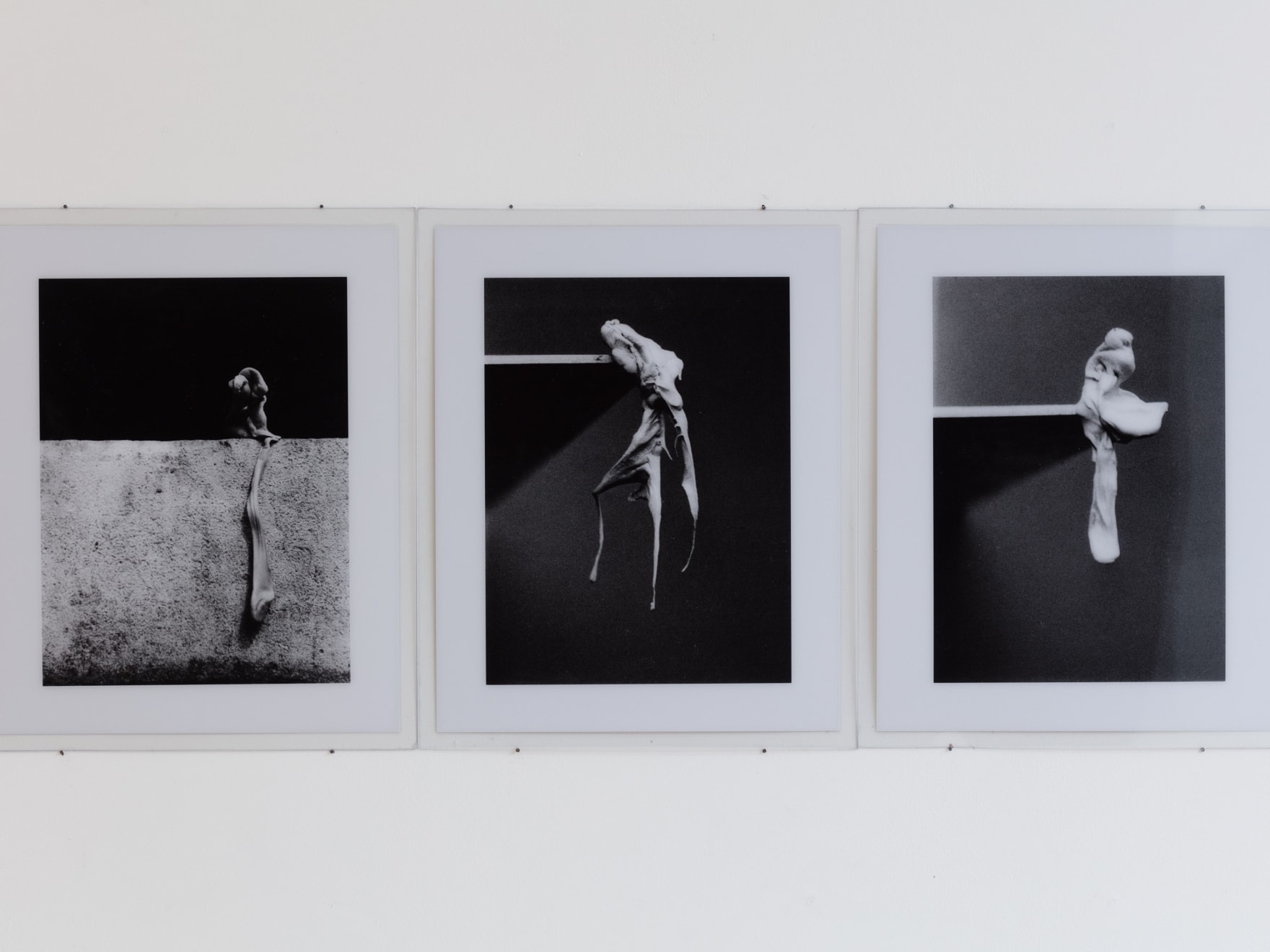 Alina Szapocznikow, Photosculptures, 1971 - 2007