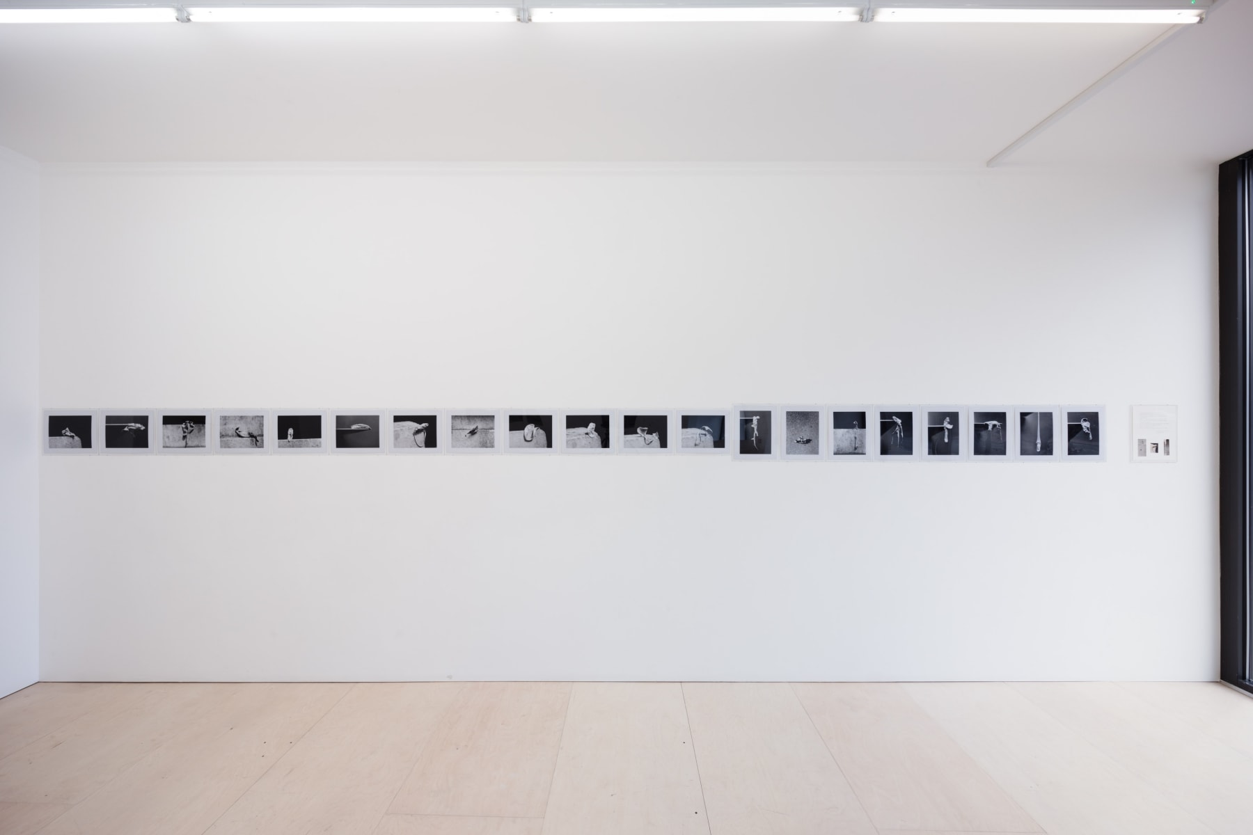 Alina Szapocznikow, Photosculptures, 1971 - 2007