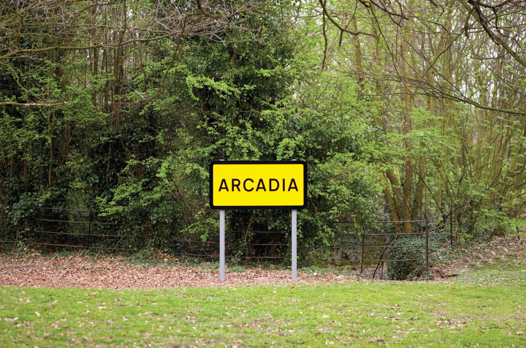 Leo Fitzmaurice, Arcadia, 2007