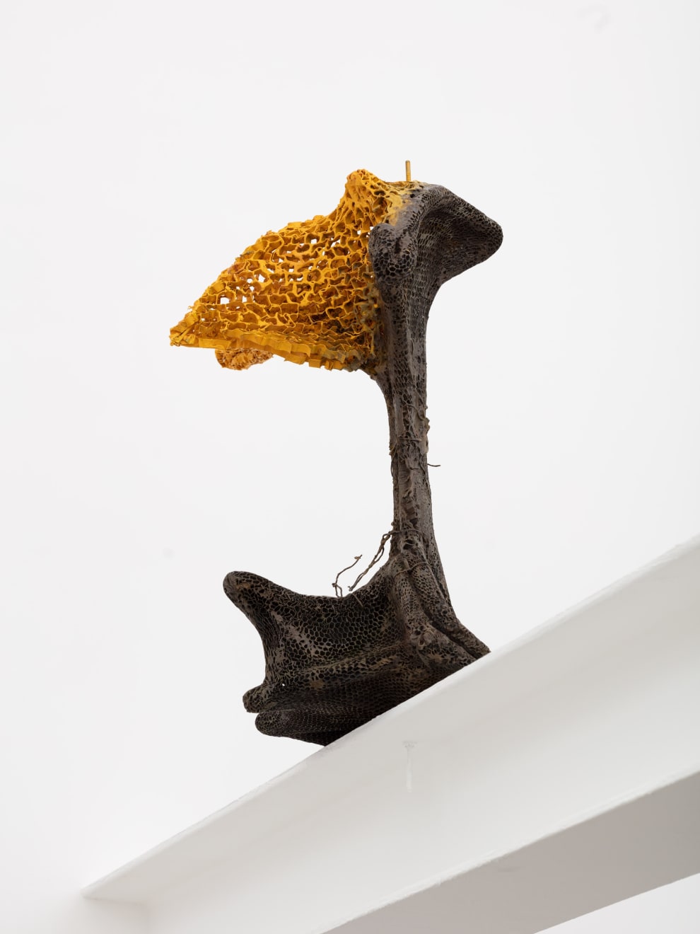 Piotr Bury Lakomy, Chicken or King, 2019