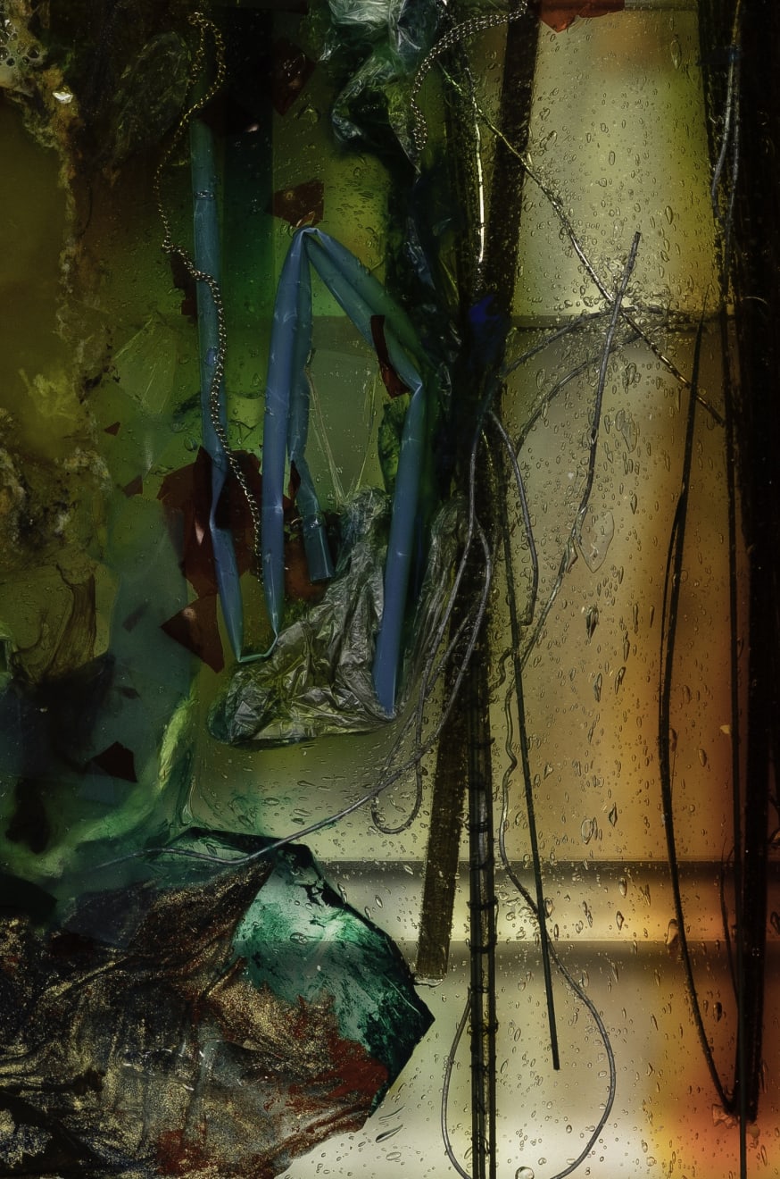 Samara Scott, Untitled, 2019