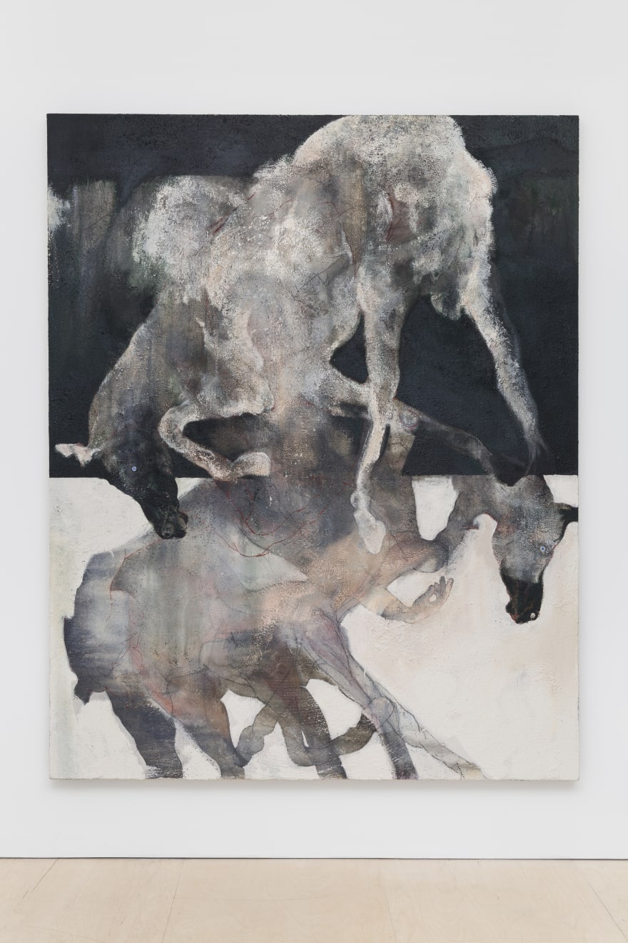 Patrick H Jones, Distill, 2019