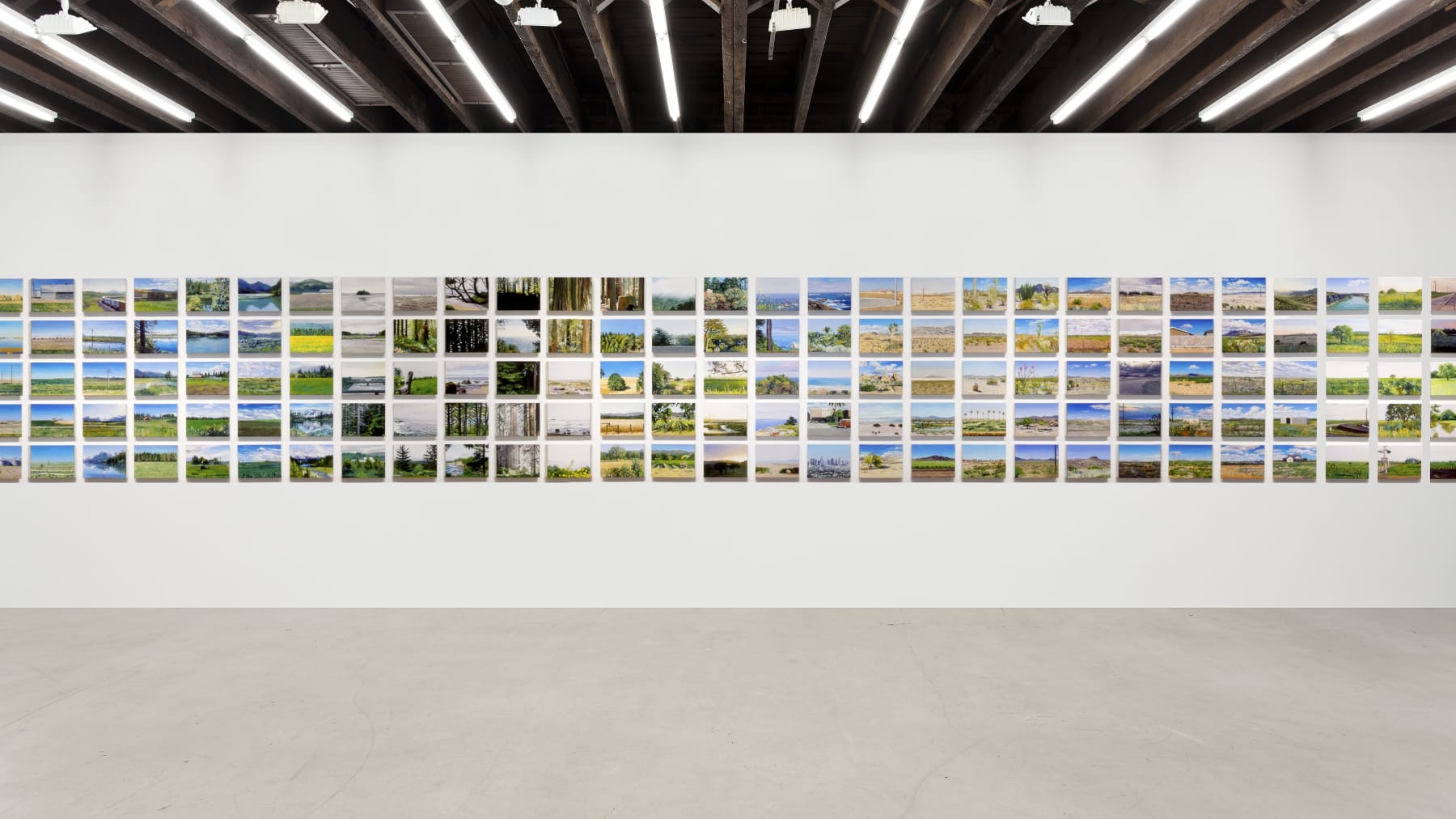 Cynthia Daignault, Light Atlas, 2016