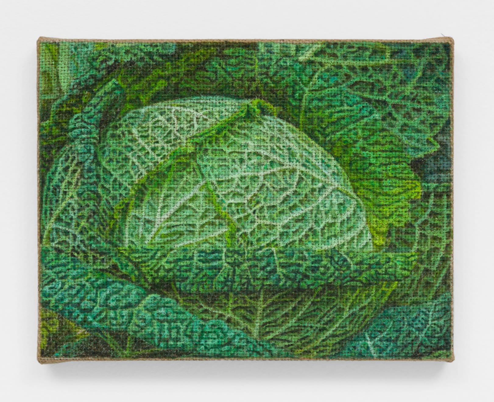Jennifer J. Lee, Savoy Cabbage, 2020