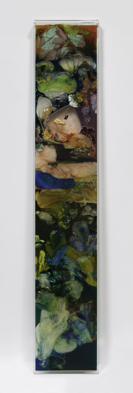 Samara Scott, Untitled, 2019