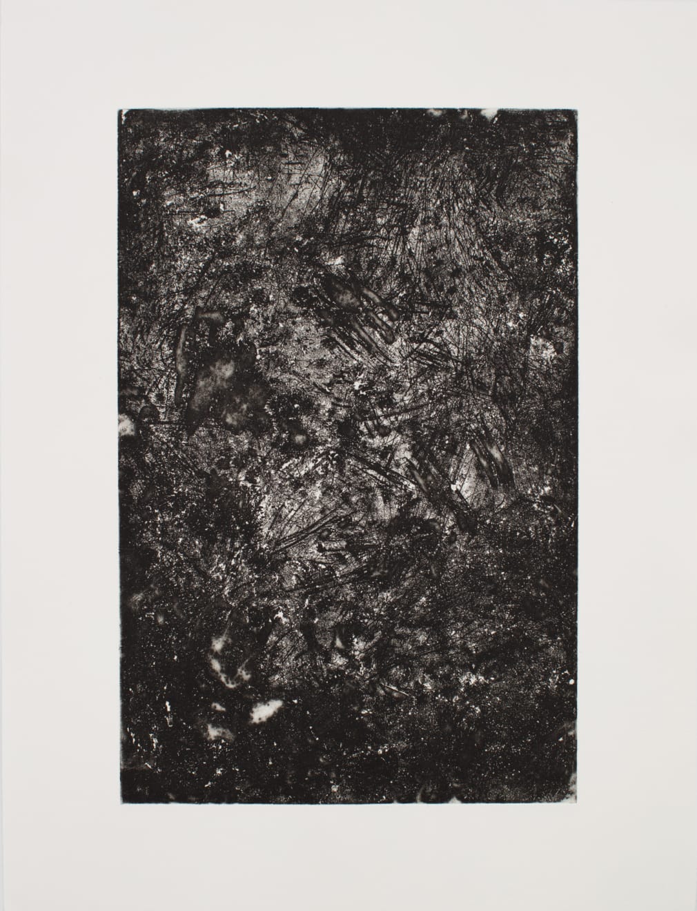 Kate Newby, More people need to see this, 2022