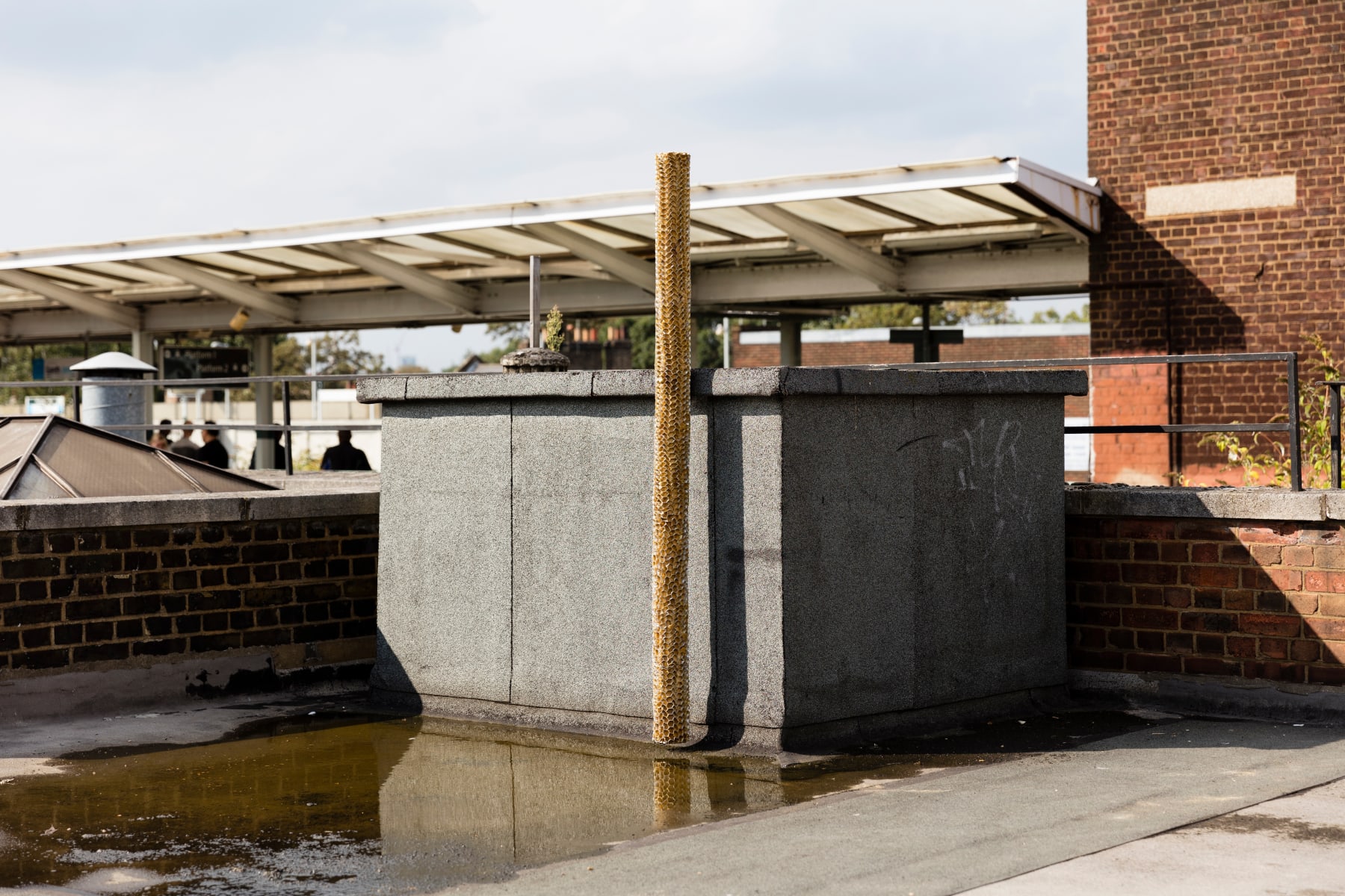 Piotr Bury Lakomy, Untitled, 2016