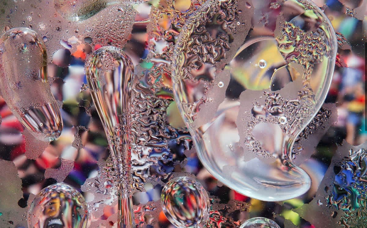 Samara Scott, Untitled