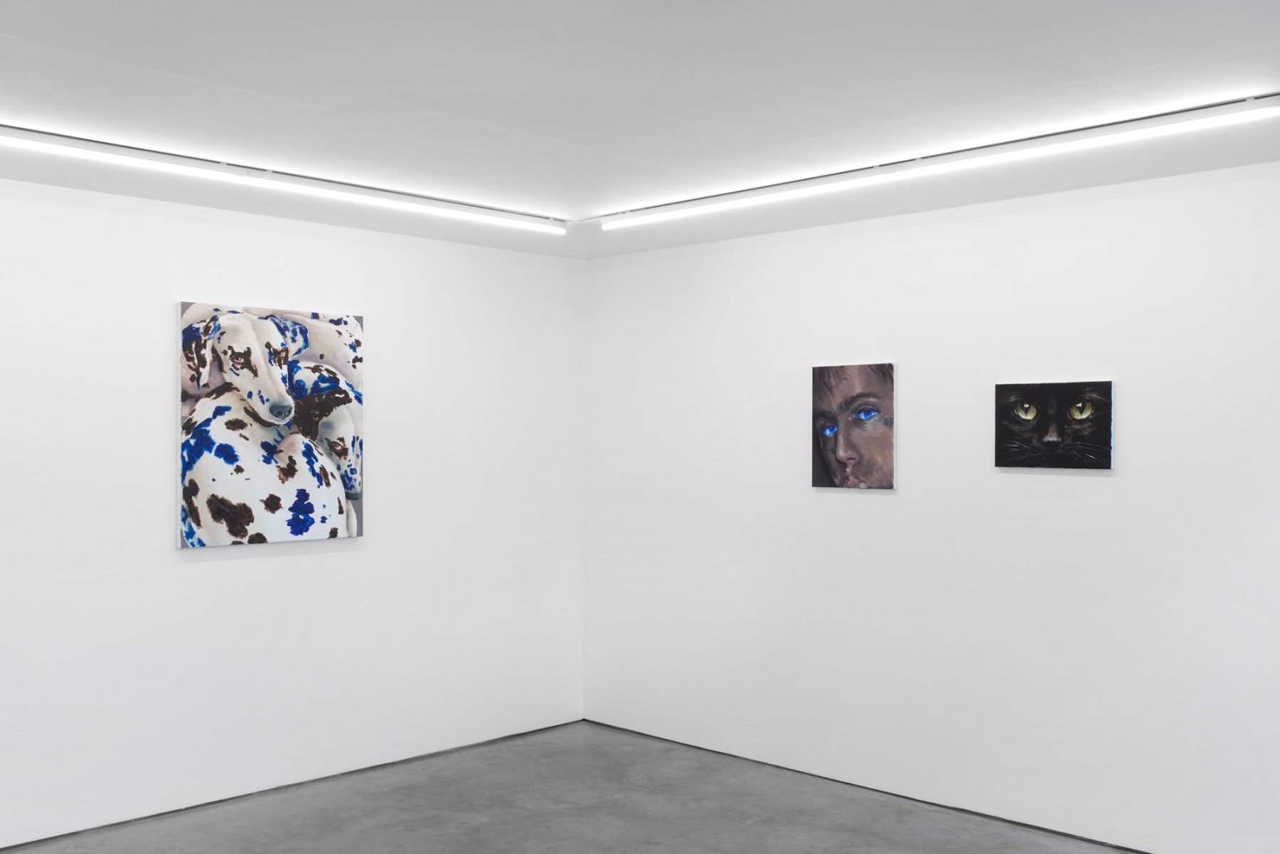 Tomas Harker, Apotrope, Cob Gallery, 2022