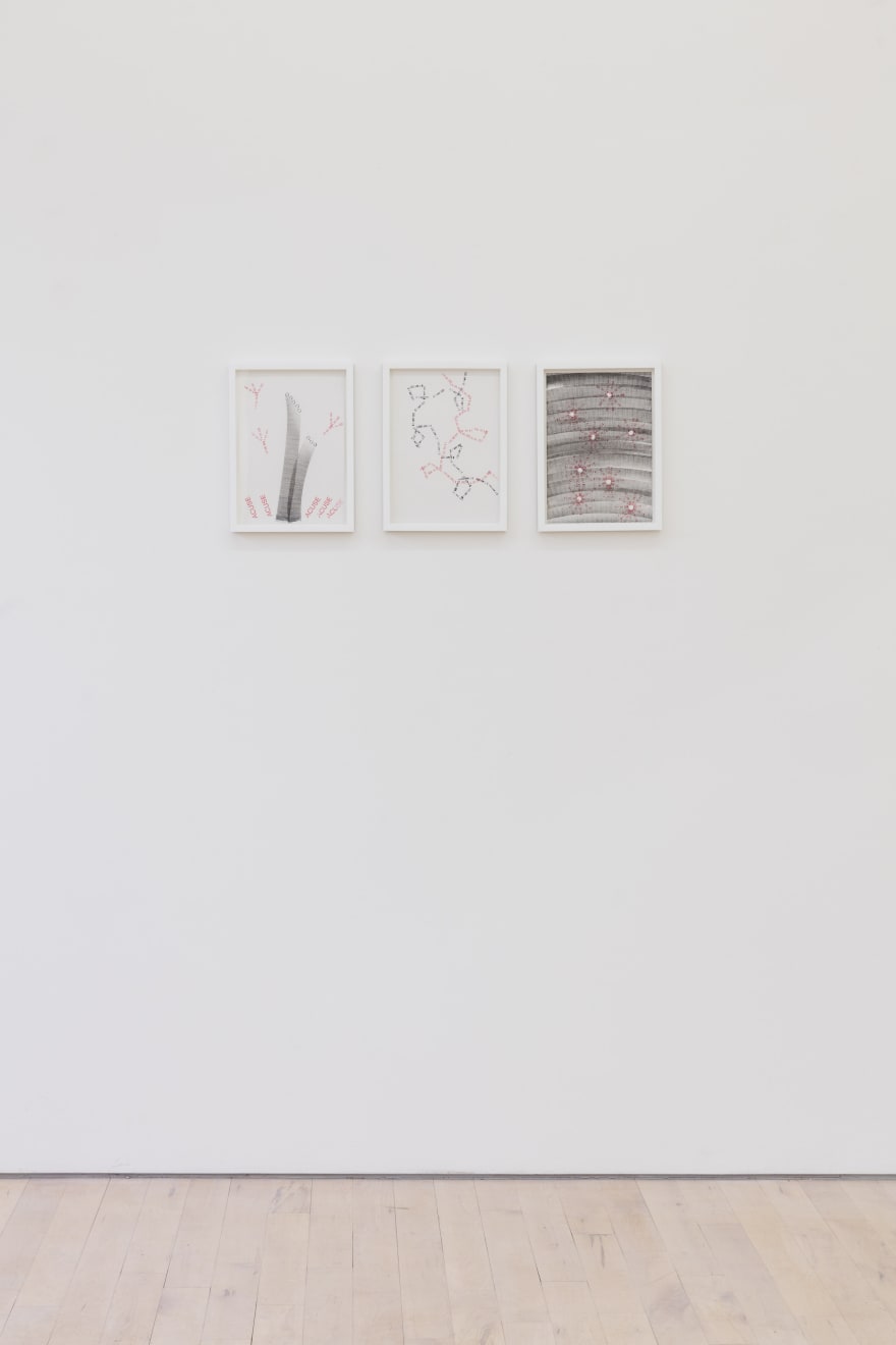 Amalia Pica, Joy in Paperwork #260, 261, 262, 2017