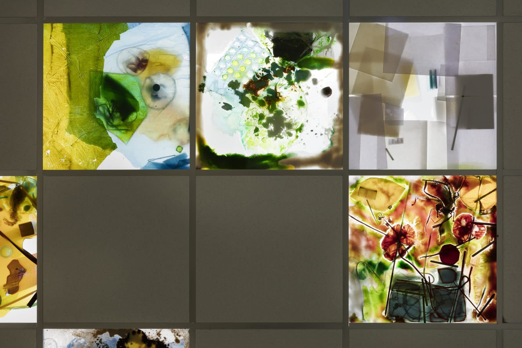 Samara Scott, BRIM, 2021