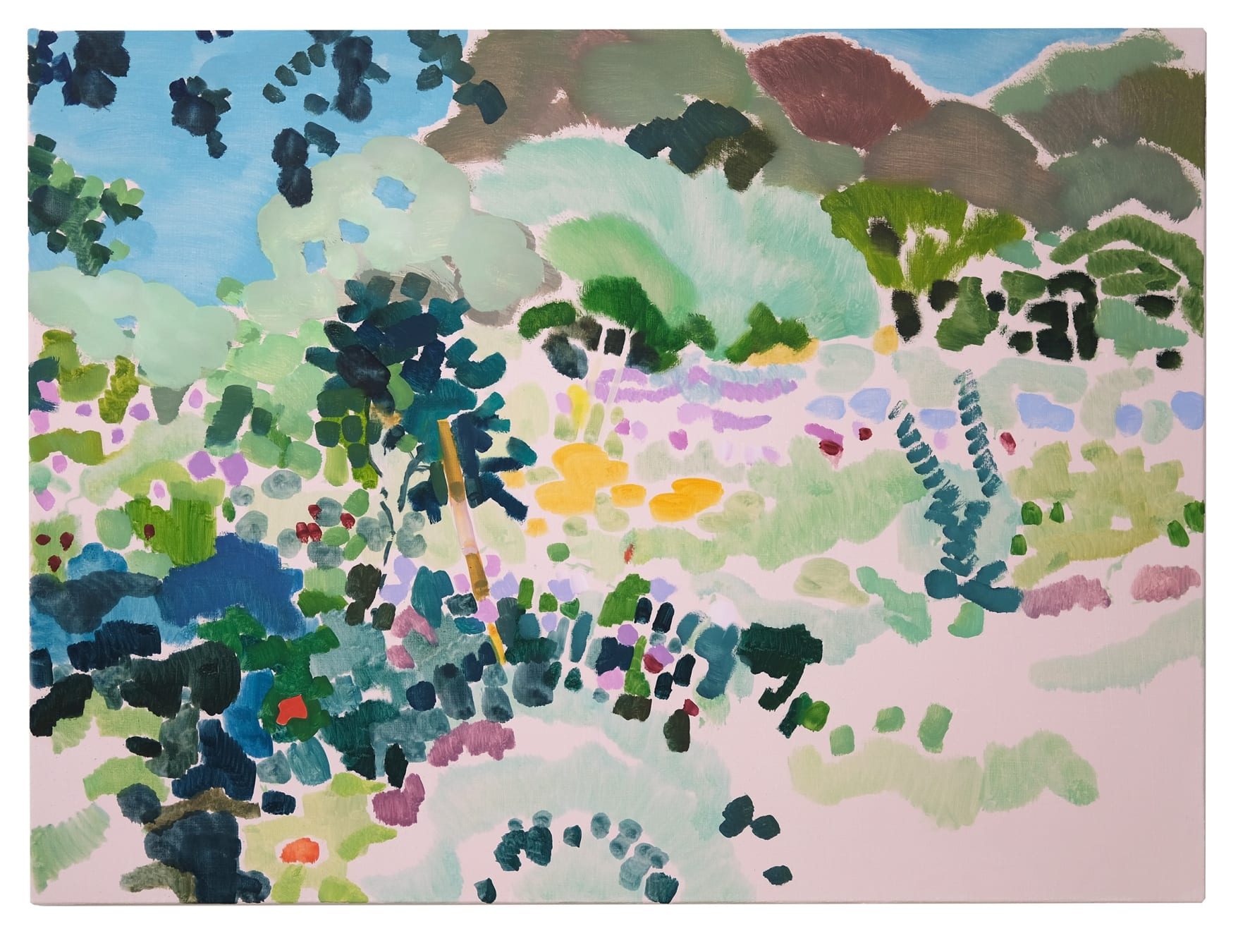 Tim Braden, Le Jardin Colorant (rose), 2023