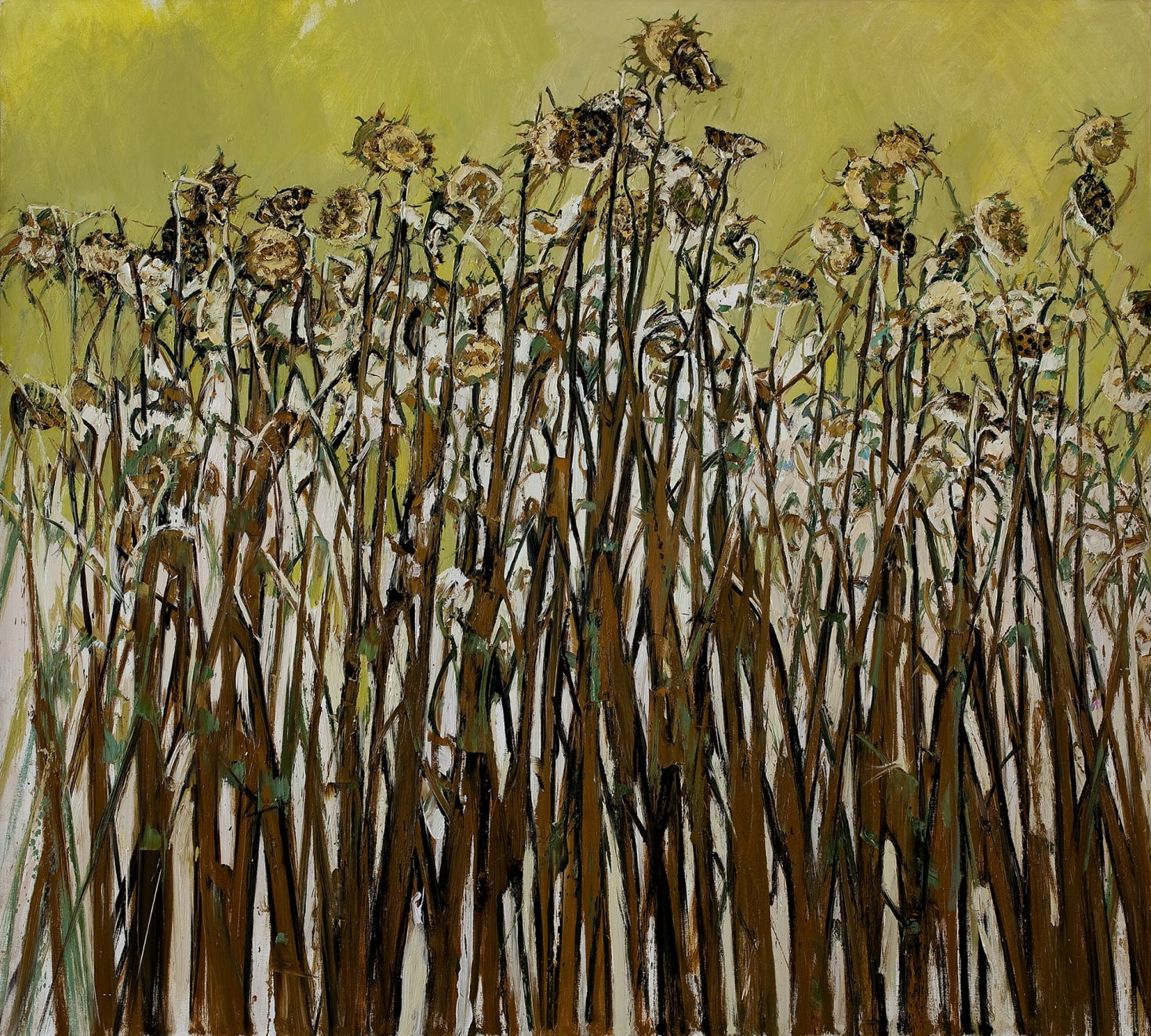 許江, 葵・光著身子, 2010