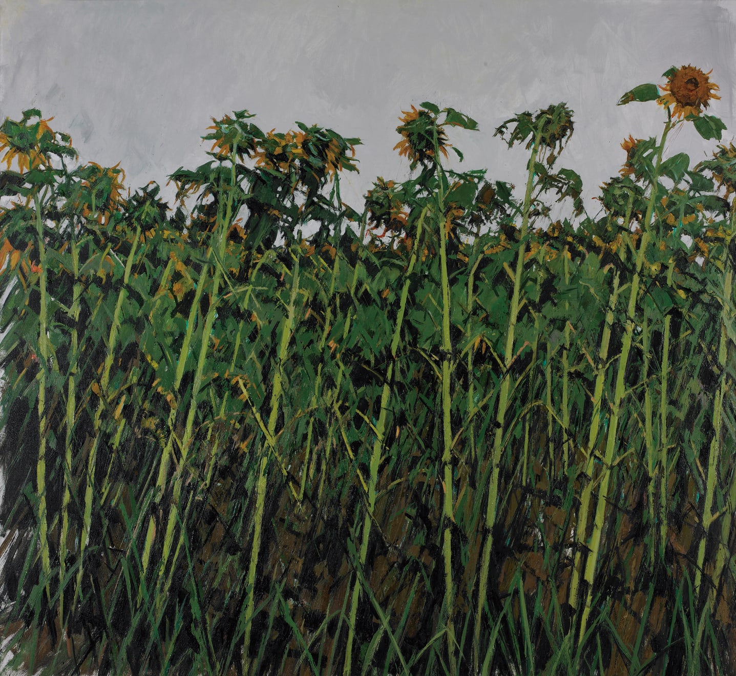 許江, 獨自傾心, 2005