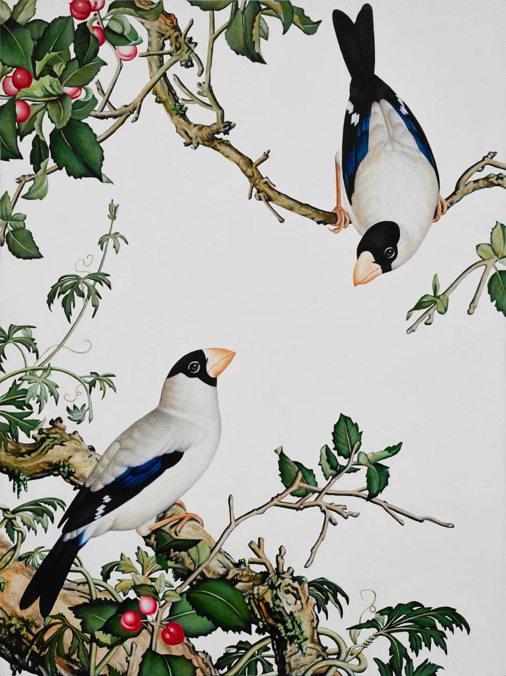 蘇孟鴻, 刺鳥圖：乾隆的箭-2 The Thorn Birds：Qianlong Emperor’s Arrow-2, 2013