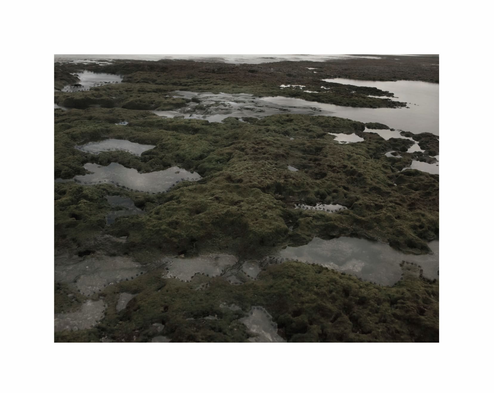 蔡佳葳, 蘭嶼 II Lanyu II, 2012