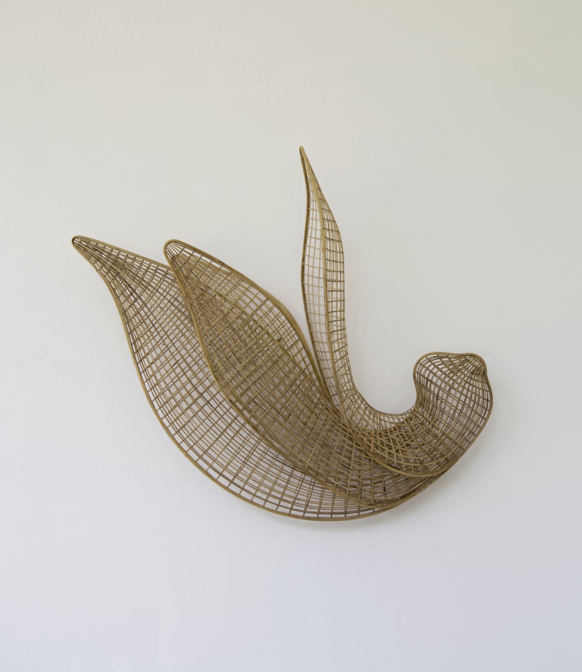 索菲普 ‧ 皮奇 Sopheap Pich, 查爾花 Char Flower, 2025
