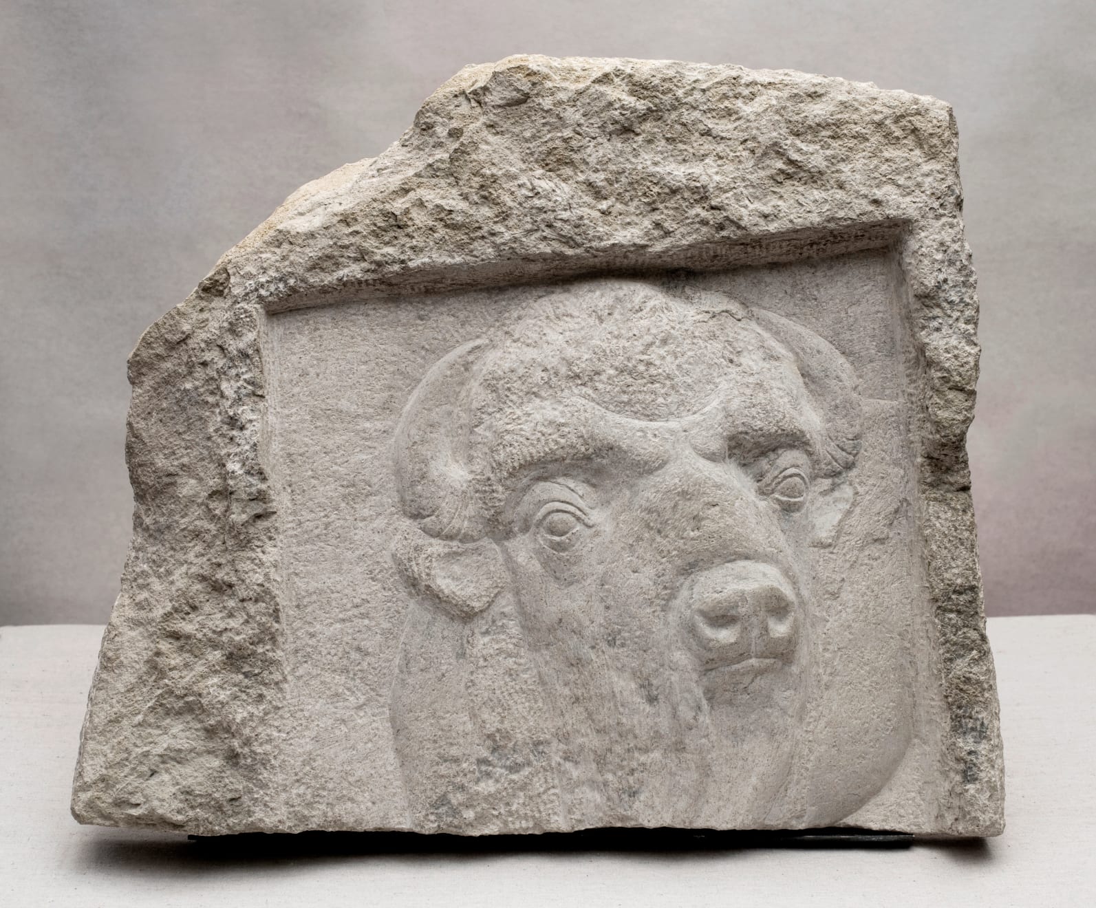 張宏圖, 仰望 2 Bison Looking Up 2, 2021