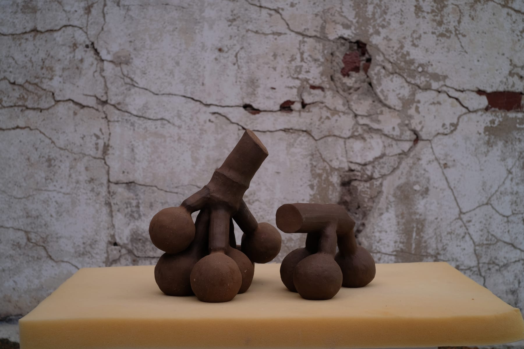 劉致宏 Chihhung Liu, 果_02 The Fruit_02, 2021