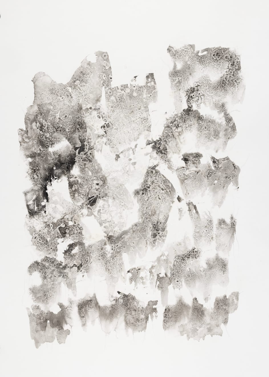 蔣友梅, 心蓮（三） Lotus (3), 2024