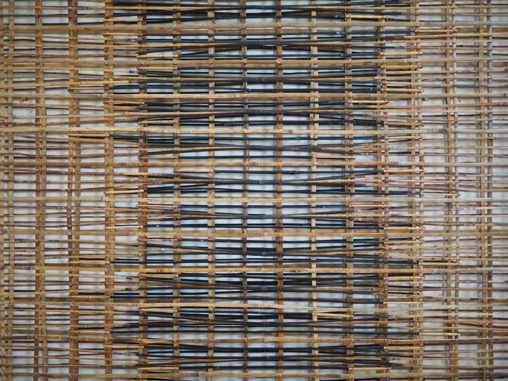 索菲普.皮奇, 光流 No. 1 Lucent Stream No. 1 , 2022