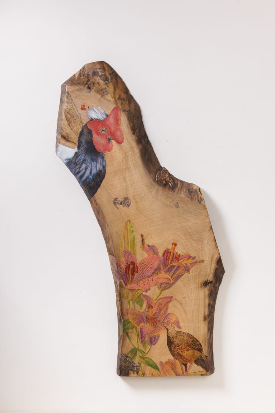 楊茂林, 花落春未盡．藍腹鷴與百合L2201 The Lasting Spring, Swinhoe's Pheasant and Lily L2201, 2022