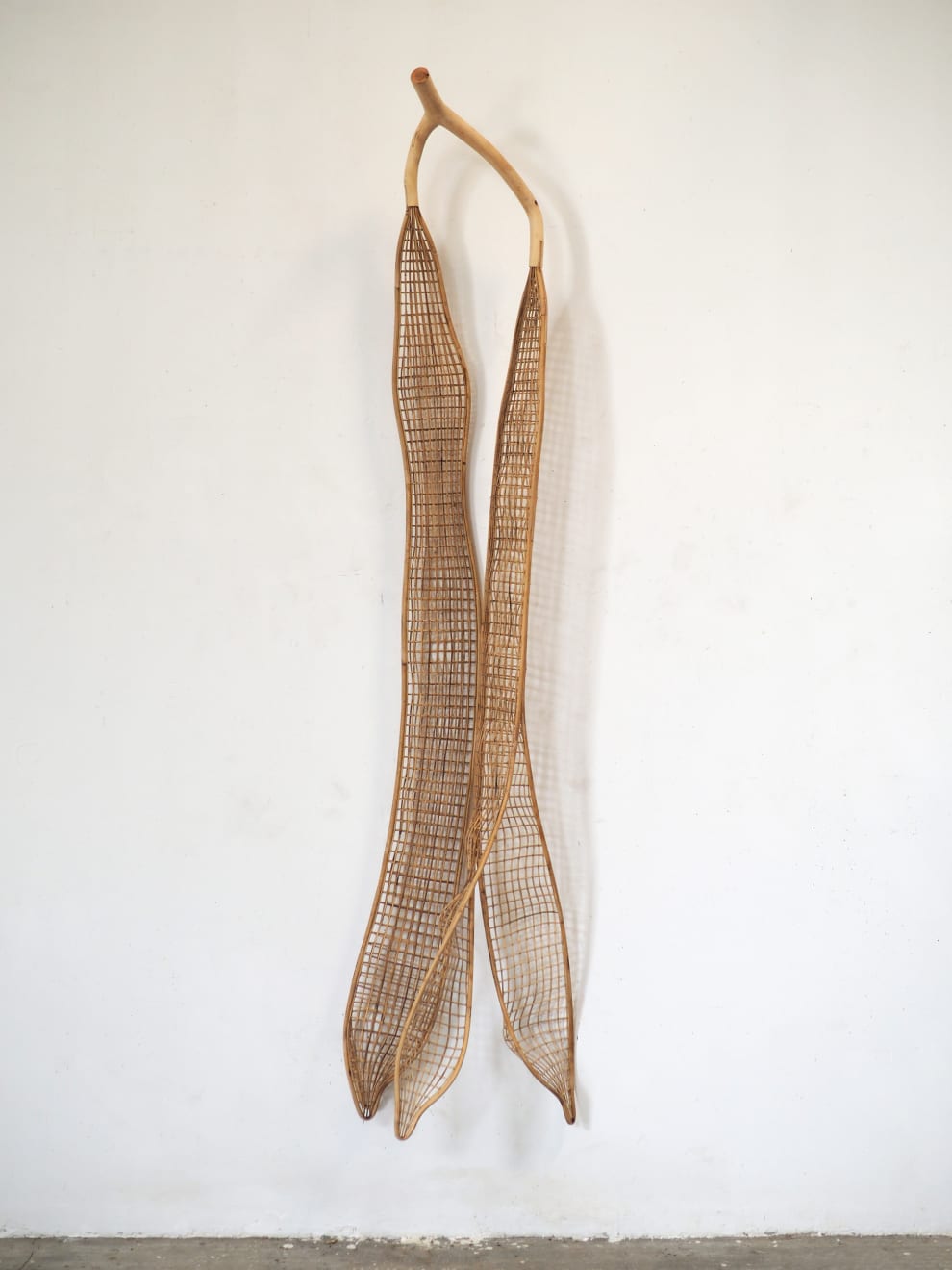 索菲普 ‧ 皮奇 Sopheap Pich, 洋紫荊 4 Bauhinia Purpurea 4, 2024