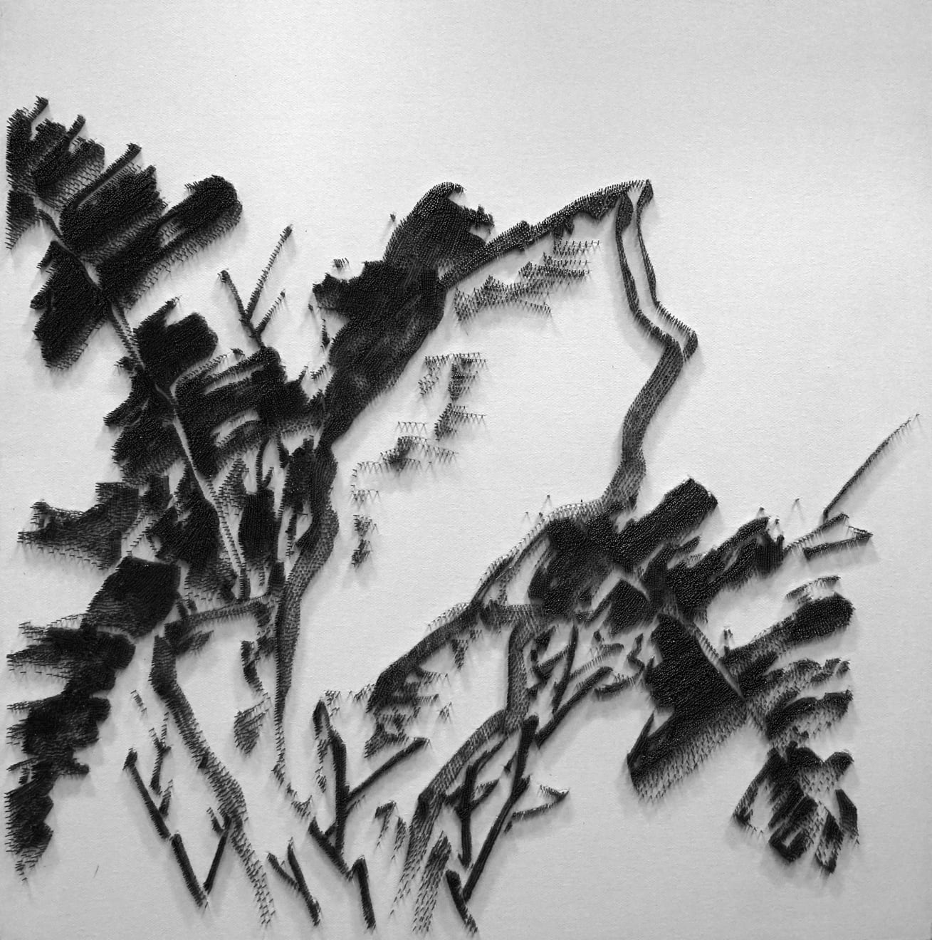 陳浚豪, 臨徐渭花卉圖之石蕉, 2021