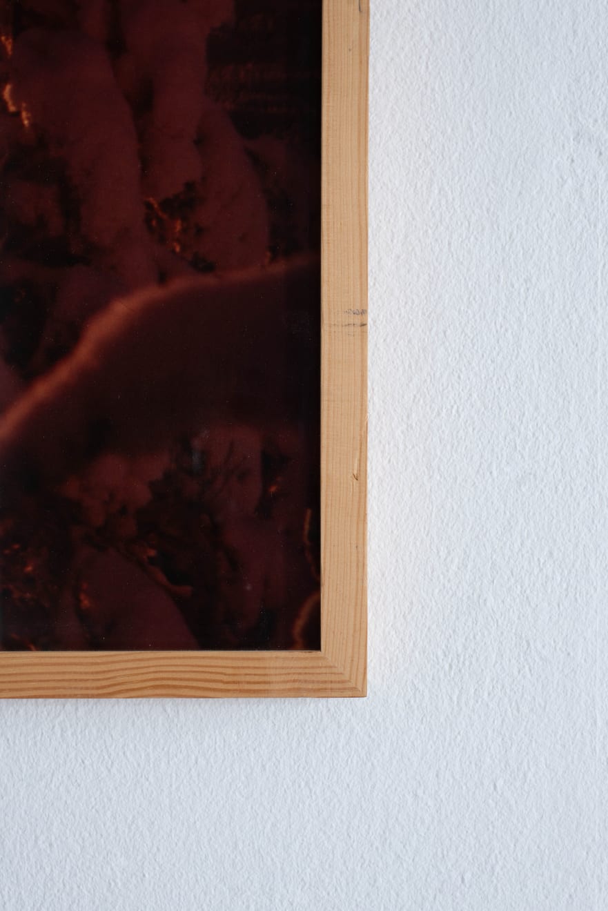 Laura Garbštienė, From the series Tundra, 2010