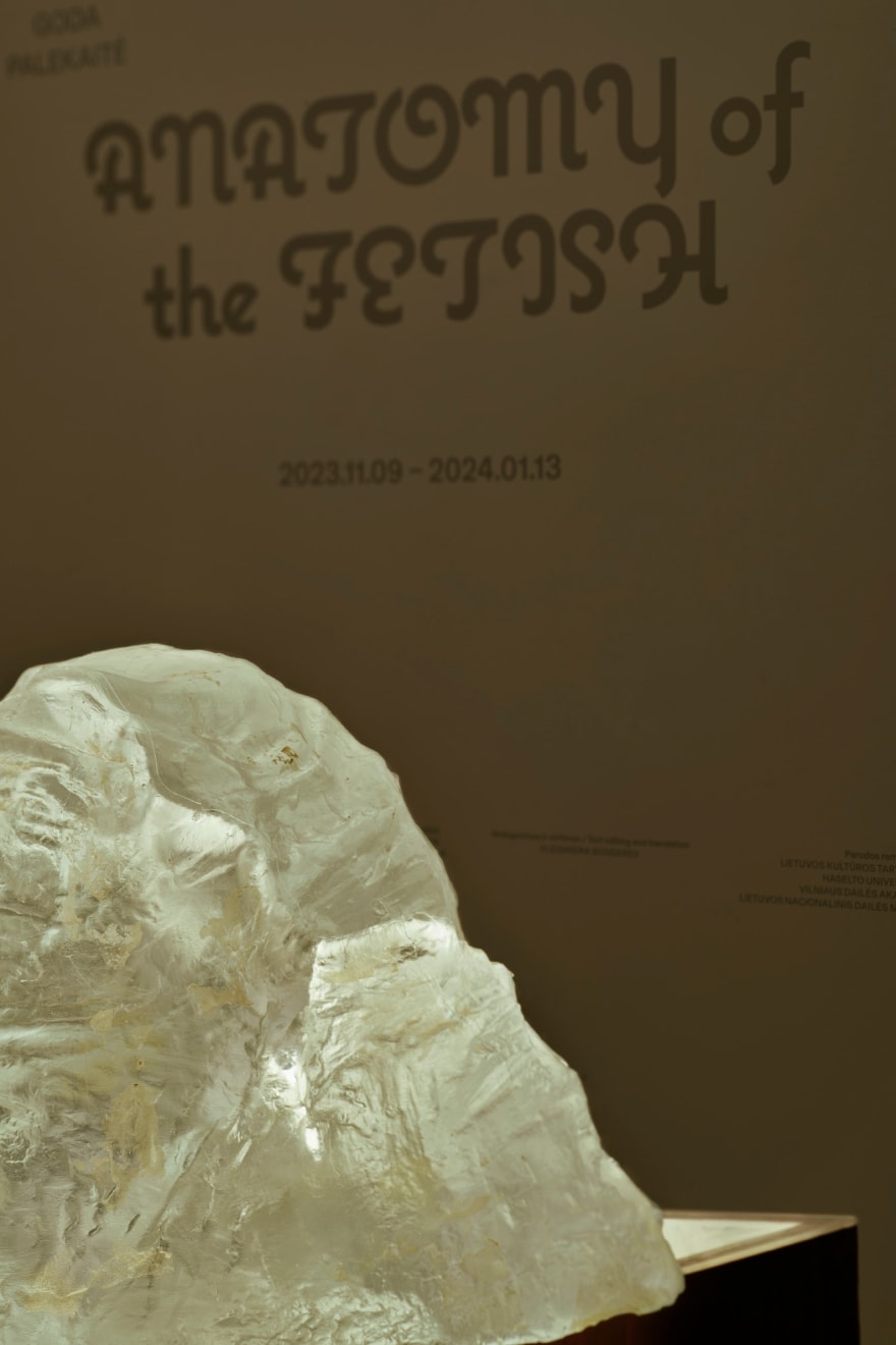 Goda Palekaitė, Monoteistinė šviesa / Monotheistic Light , 2023