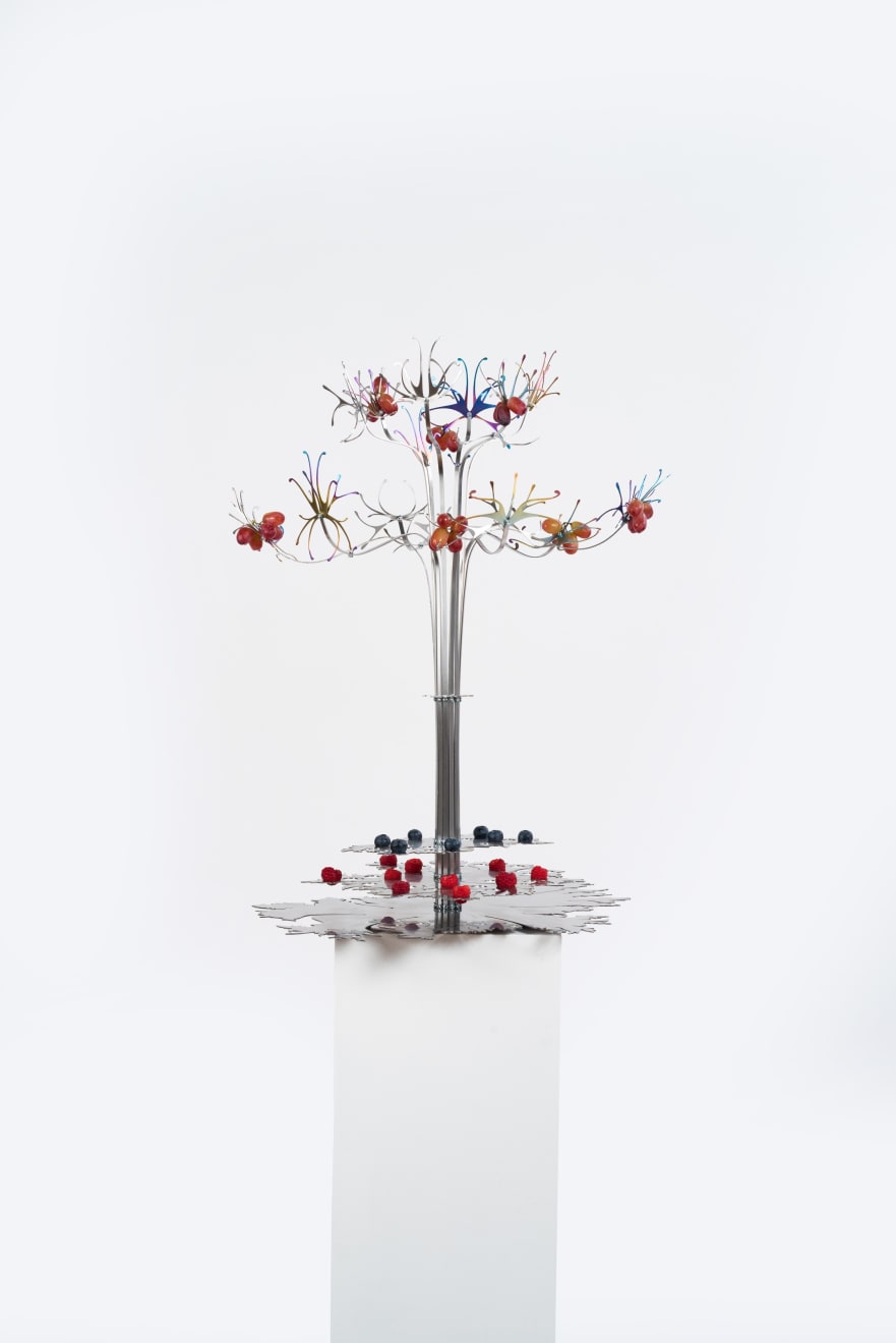 Eugenija Tereščenko, BACCARUBI Fruit Display, 2024