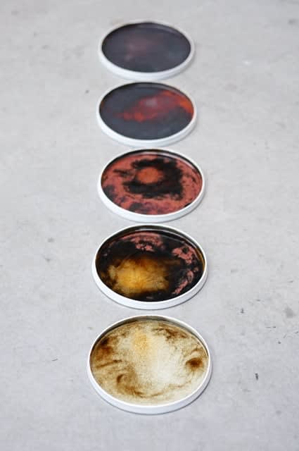 Agnė Kučerenkaitė, Ignorance is Bliss, Apvali lėkštė / round plate