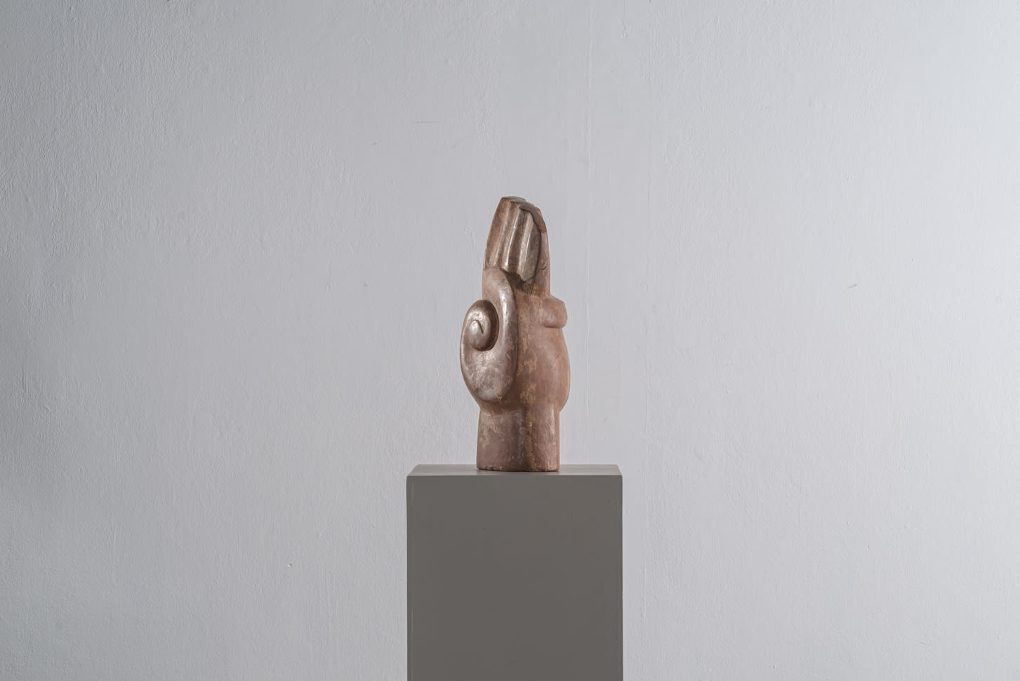 Antanas Mončys, Main fossile, Year unknown