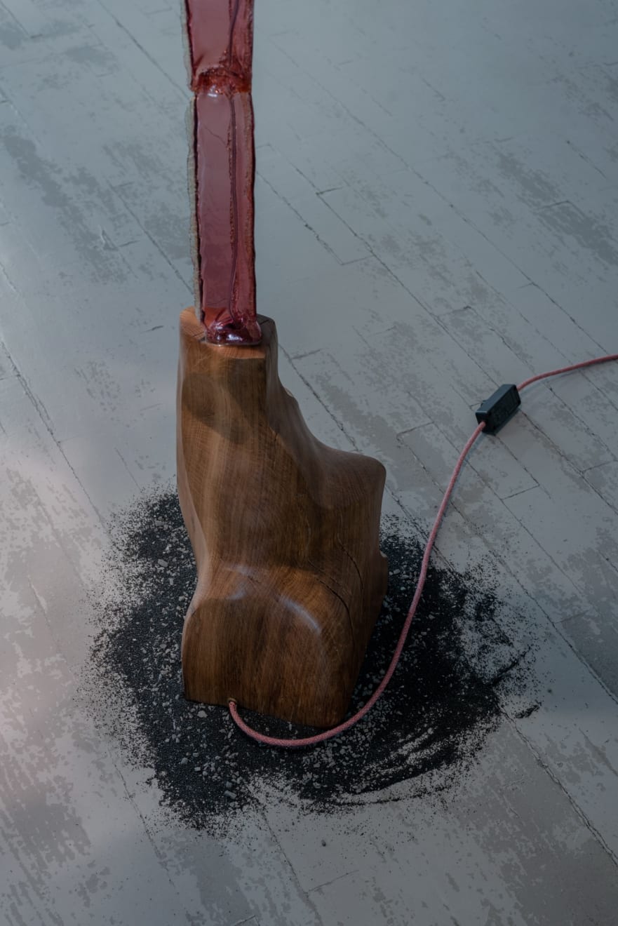 Dorian Renard, Deformacijos grožis / The Beauty of Distortion , Grindų šviestuvas / floor lamp