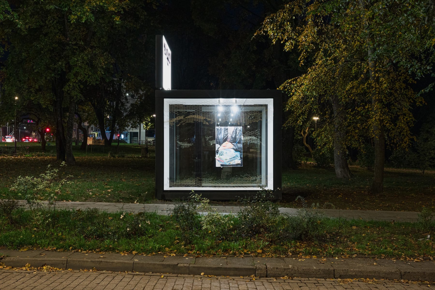 Neringa Vasiliauskaitė, Catch 1, 2024