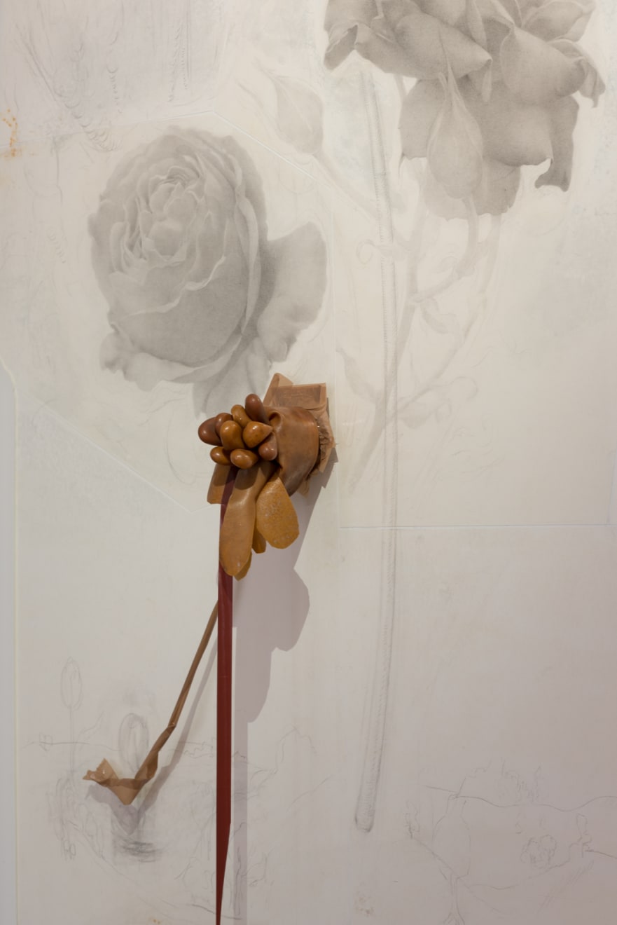 SetP Stanikas, Rožės kvepia / The roses scent, 2017