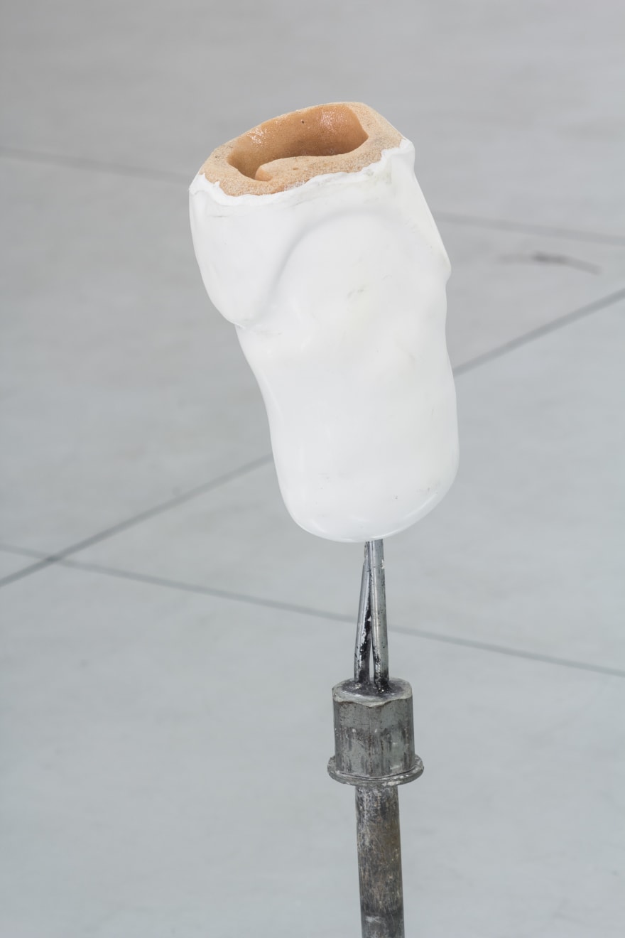 Anastasija Sosunova & Andrea Zucchini, Slenka ir gyja / Creeping and Healing, 2018