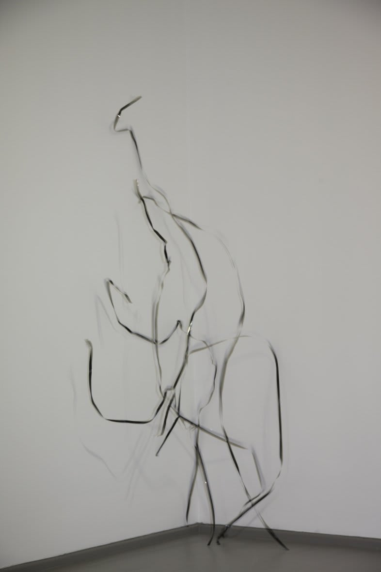 Žilvinas Kempinas, Serpentine, 2010