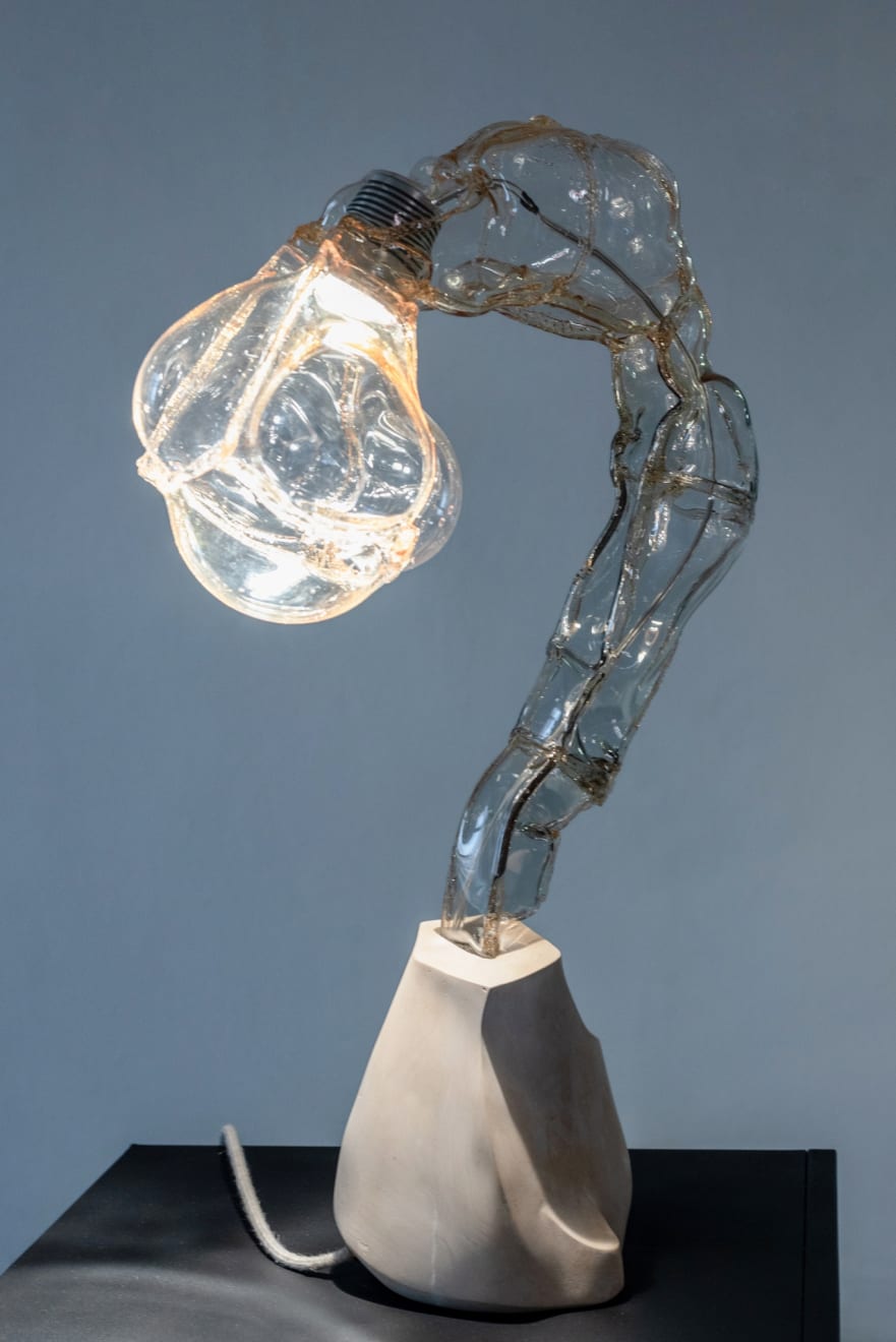 Dorian Renard, Blooming Season , Stalinė lempa / table lamp